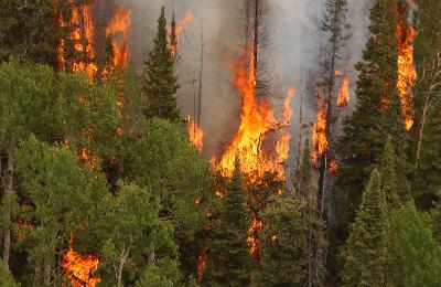 Tierra quemada: Lo que dicen los datos sobre incendios