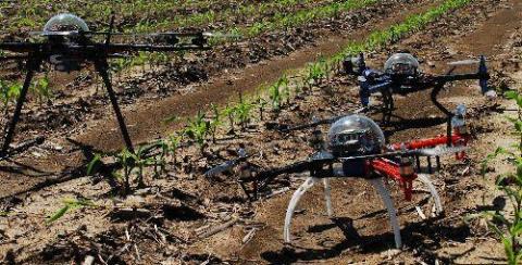 Nubes sobre la agricultura campesina 