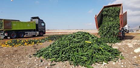 Esta semana hablamos en el nido sobre el desperdicio de alimentos