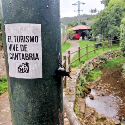 Acciones por la difusión del 28J: Cantabria para vivir frente al modelo turístico impuesto