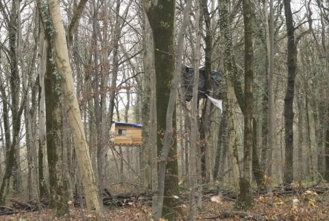 Bosque de Osterholz en Wuppertal, Alemania: "Estamos listos para la revuelta" - Una entrevista