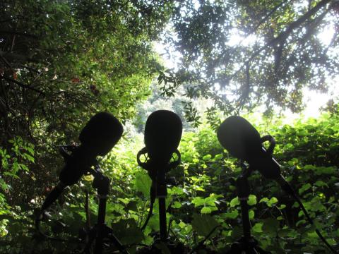 1º Cadenazo Ibérico de las radios libres