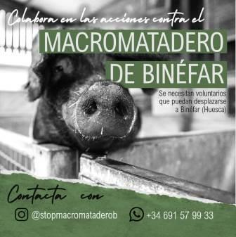 Acampada contra el macromatadero de Binéfar (Aragón)