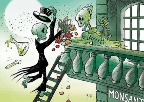 Matrimonio criminal: Monsanto-Bayer