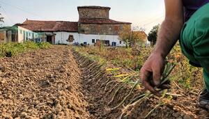 Contra el desalojo del proyecto agroecológico Otxantegi Herri Lurra en Berango