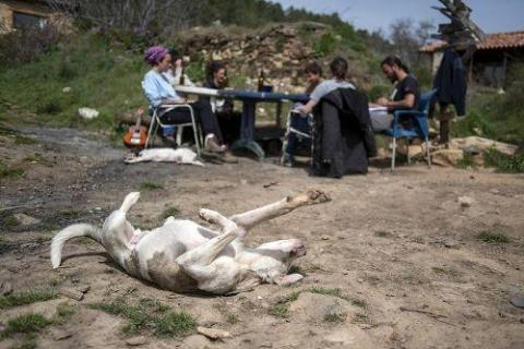 Fraguas, cómo viven y siguen resistiendo en este pueblo de la Sierra Norte de Guadalajara ante la amenaza de ir a la cárcel