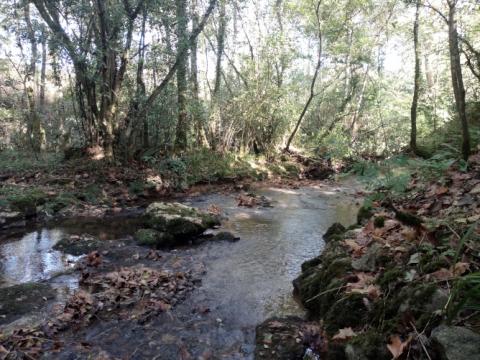 ¿Conocéis “El concejo aldeano en Cantabria; Lo que pudo ser y no fue"?